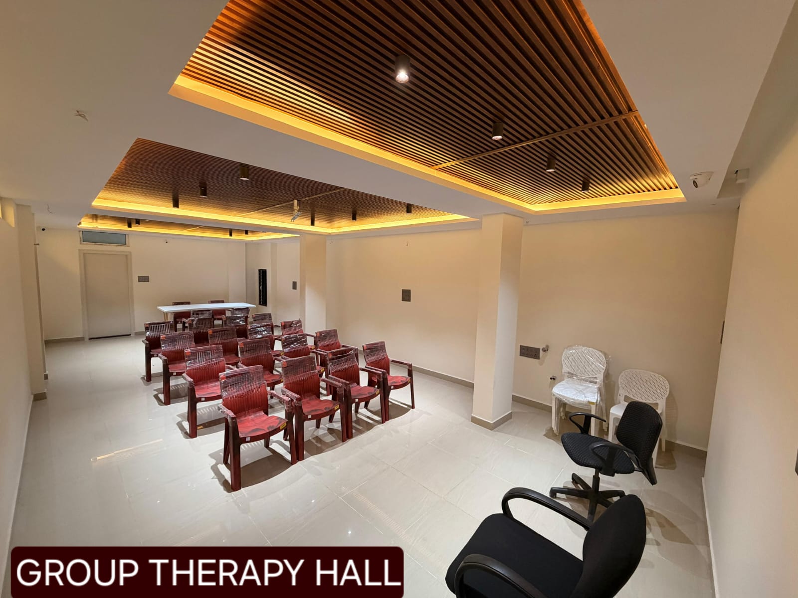 Mental Wellness Area